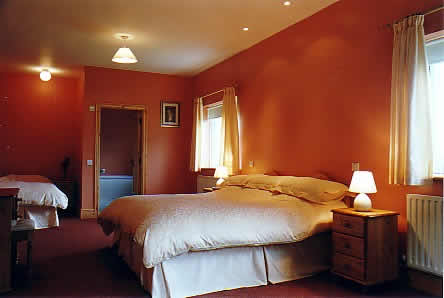 Island View House Cavan - The main Bedroom